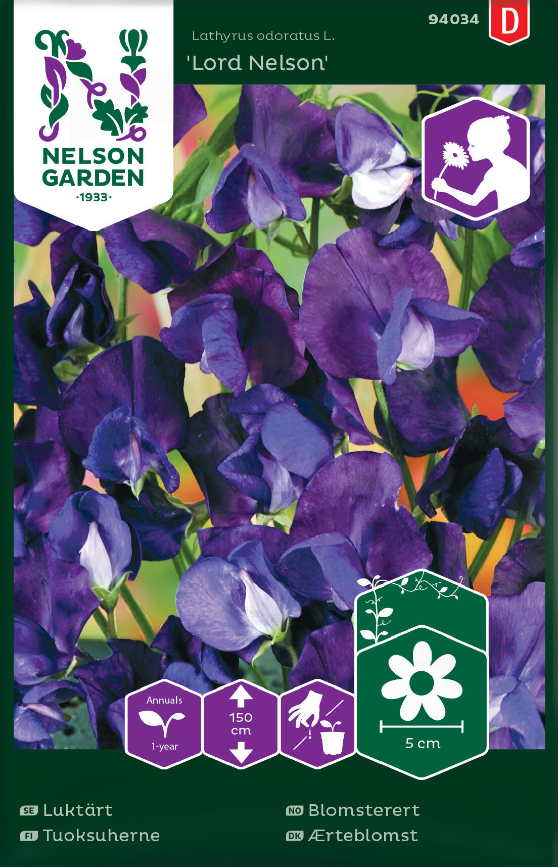 Flower Pea 'Lord Nelson'